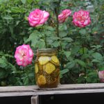 Slivers-The Best Bread and Butter Pickle