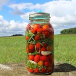 Fermented Cherry Tomatoes