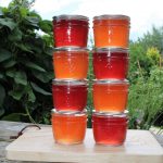 Gooseberry Jelly