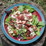 Tarragon Radish and Blue Cheese salad