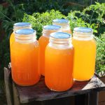 Chicken Stock