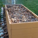 Garlic Planted Fall 2020