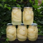 Pears In Minted Light Syrup