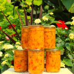Peach Salsa by Cansanity