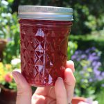Raspberry Jam