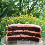 Simply Delicious Chocolate Cake