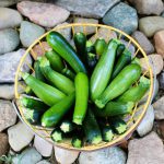 Garden zucchini with potato gnocchi and basil pesto