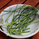 Garlic Scape Soup