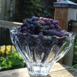 Concord Grape Jelly